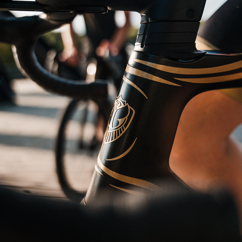 TOMORROWLAND x RIDLEY