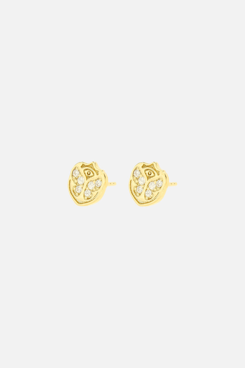 ICON EARRINGS