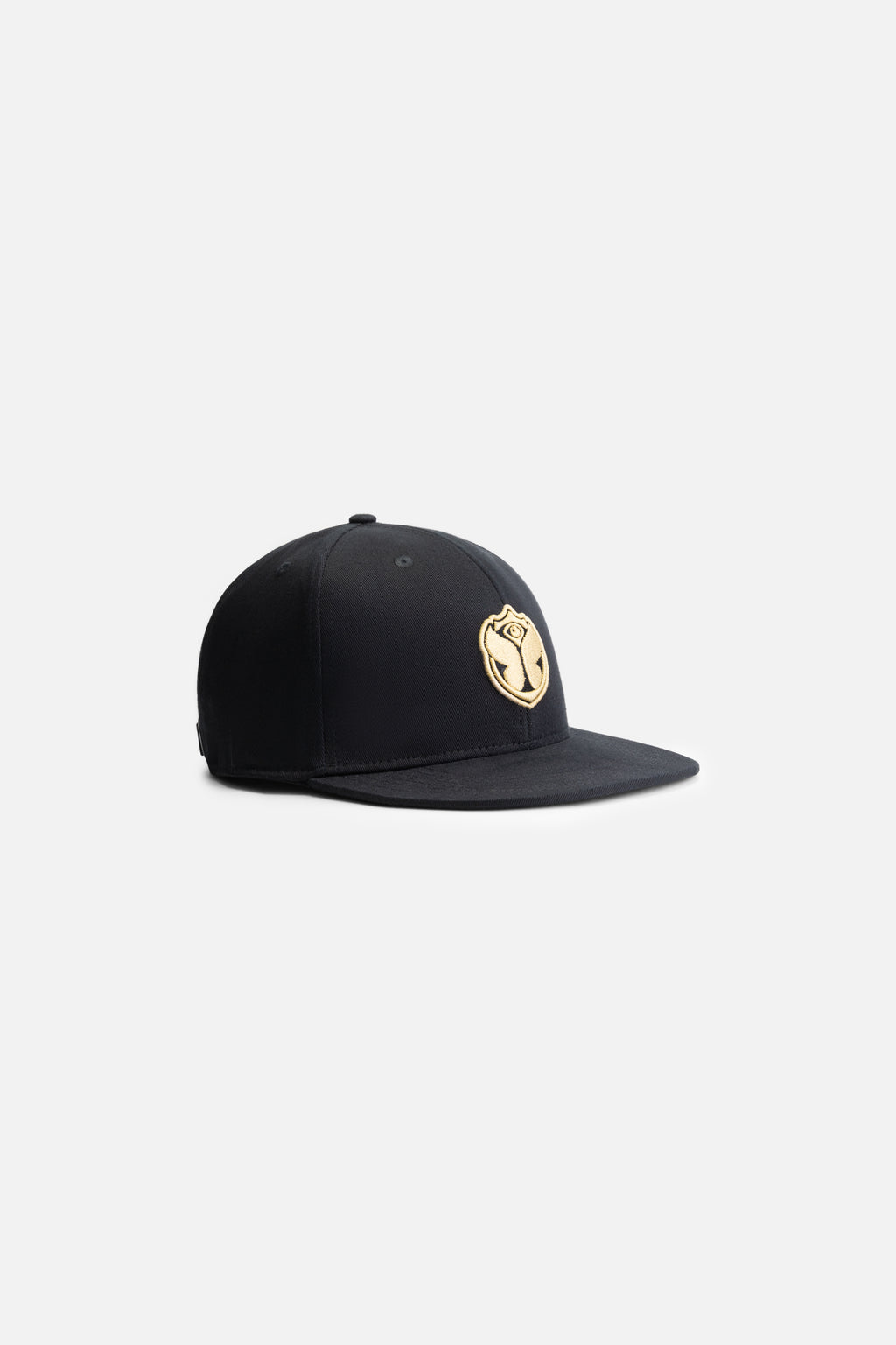 GOLD ICON SNAPBACK